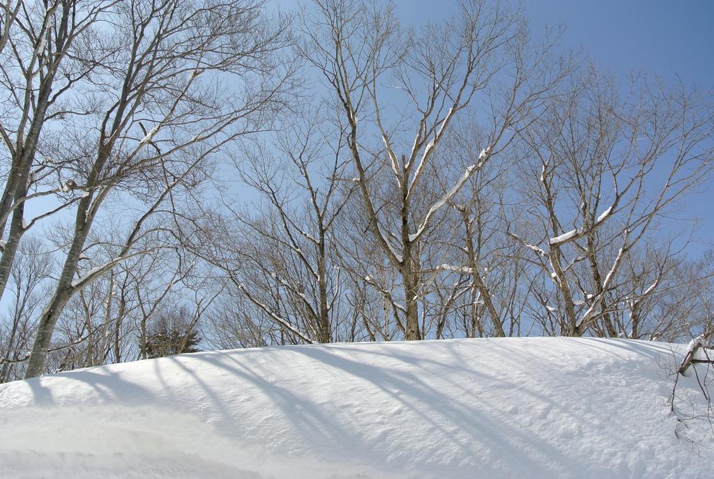 Отель Altitude Madarao Iiyama Экстерьер фото